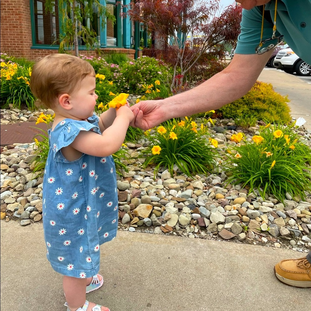 Tucker & Tate Daisy Dress and Bloomers 18 Month